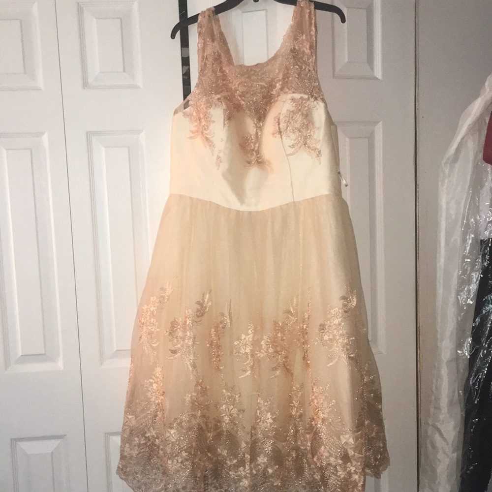 Chi Chi Rose Gold Embroidered Dress Size 18 NWT